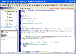A Full IDE Shot of HotHTML 2001 Professional
